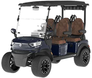 Golf Carts for sale in Georgia area